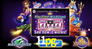 Live Casino 11pg